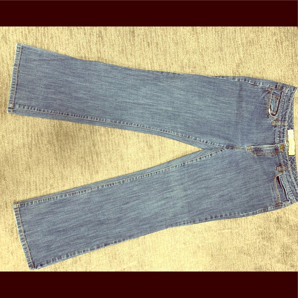 Ann Taylor Loft Original Boot Cut Jeans (12)